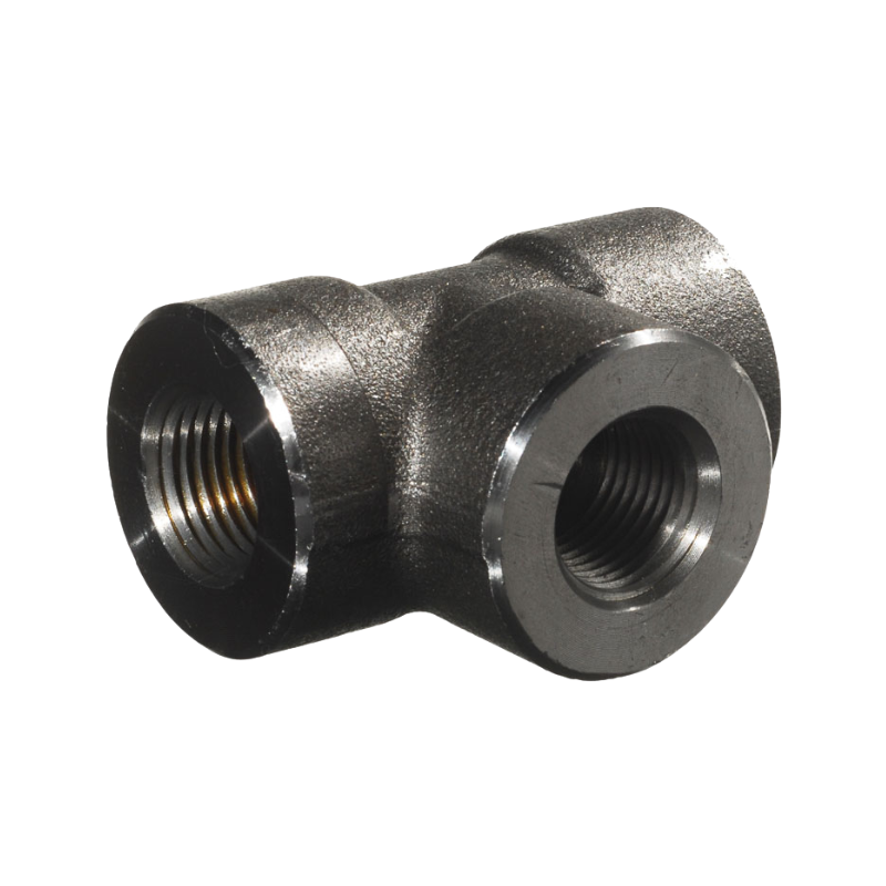 Carbon & Stainless Steel Fittings