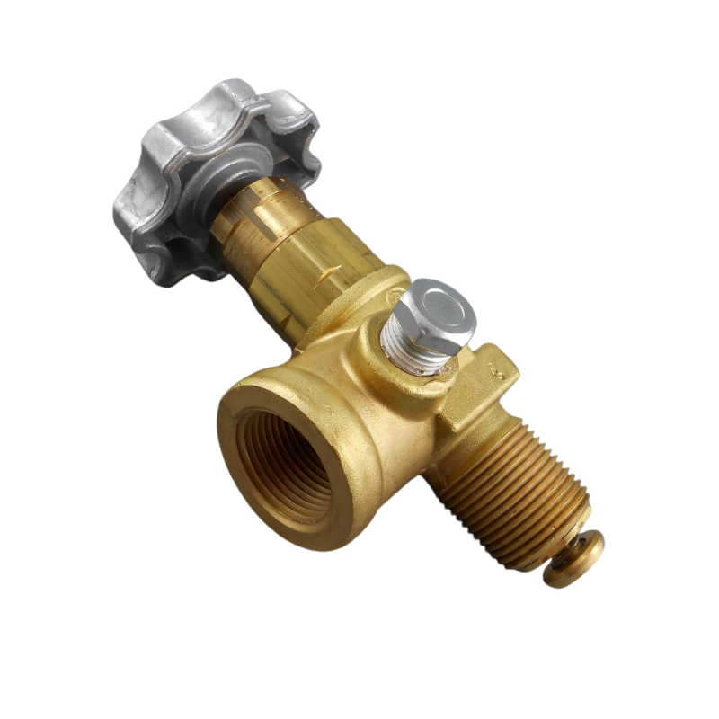 Globe & Angle Valves